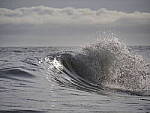 Click to see Y-12-200mm-50080.JPG
