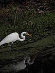 Click to see Y-12-200mm-50088.JPG
