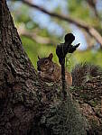 Click to see Y-12-200mm-50098.JPG
