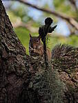 Click to see Y-12-200mm-50099.JPG
