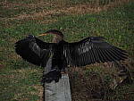 Click to see Y-12-200mm-50111.JPG