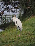 Click to see Y-12-200mm-50136.JPG