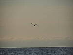 Click to see Y-12-200mm-60110.JPG