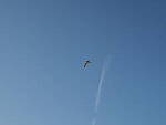 Click to see Y-12-200mm-60128.JPG