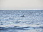 Click to see Y-12-200mm-60144.JPG