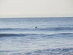 Click to see Y-12-200mm-60150.JPG
