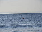 Click to see Y-12-200mm-60190.JPG