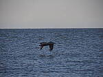 Click to see Y-12-200mm-60196.JPG