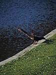 Click to see Y-12-200mm-60215.JPG