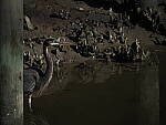 Click to see Y-12-200mm-60230.JPG