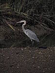 Click to see Y-12-200mm-60249.JPG
