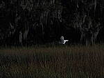 Click to see Y-12-200mm-60277.JPG