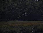 Click to see Y-12-200mm-60330.JPG