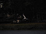 Click to see Y-12-200mm-60369.JPG