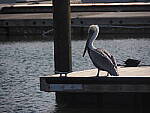 Click to see Y-12-200mm-60403.JPG