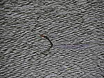 Click to see Y-12-200mm-60485.JPG