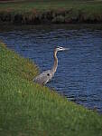 Click to see Y-12-200mm-60540.JPG