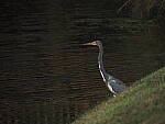 Click to see Y-12-200mm-60559.JPG