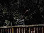 Click to see Y-12-200mm-60581.JPG