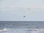 Click to see Y-12-200mm-60607.JPG