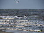 Click to see Y-12-200mm-60613.JPG