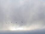 Click to see Y-12-200mm-70833.JPG