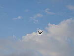 Click to see Y-12-200mm-70835.JPG