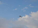 Click to see Y-12-200mm-70836.JPG