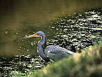 Click to see Y-12-200mm-70934.JPG