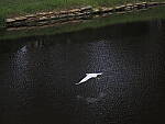 Click to see Y-12-200mm-70964.JPG