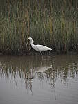 Click to see Y-12-200mm-71047.JPG