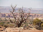 Click to see Y-WB-PA090050_2.JPG