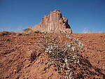 Click to see Y-WB-PA090062.JPG