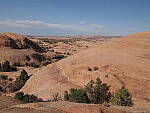 Click to see Y-WB-PA090346.JPG