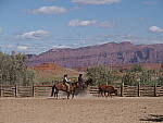 Click to see Y-WB-PA100646.JPG
