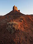 Click to see Y-WB-PA101478.JPG