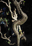 Click to see Y-C-A210015-EDIT.JPG