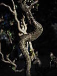 Click to see Y-C-A210015.JPG