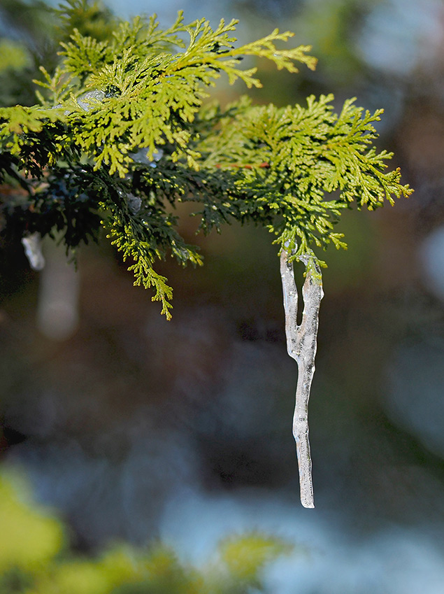 Olympus E-PL8 sample gallery image