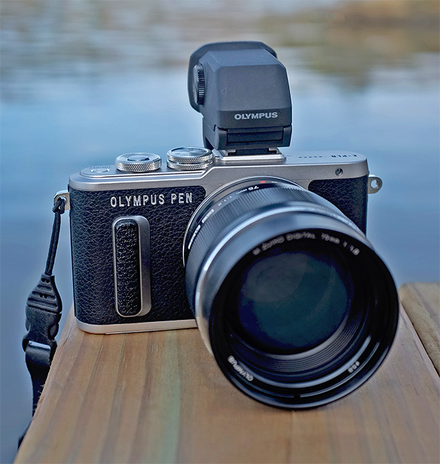 Olympus E-PL8 sample gallery image