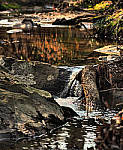 Click to see YD-90333-DTone-EDT.JPG