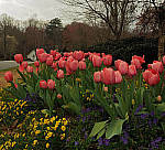 Click to see YD-90359-EDT.JPG