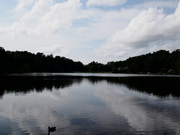 Olympus E-P5 Review - Tone Control shadows