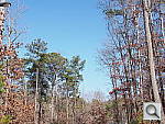 Click to see EPL5PINE.JPG