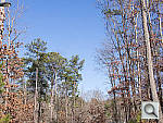 Click to see EPL5PINE_ACRu300r03.JPG