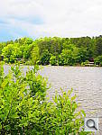 Click to see YDP5081162.JPG