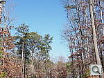Click to see EPM2PINE_IB.JPG