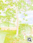 Click to see Y_WTERCLR_G0081132.JPG