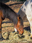 Click to see YE-150mm-0958-EDT.JPG