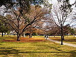 Click to see YP1250080.JPG